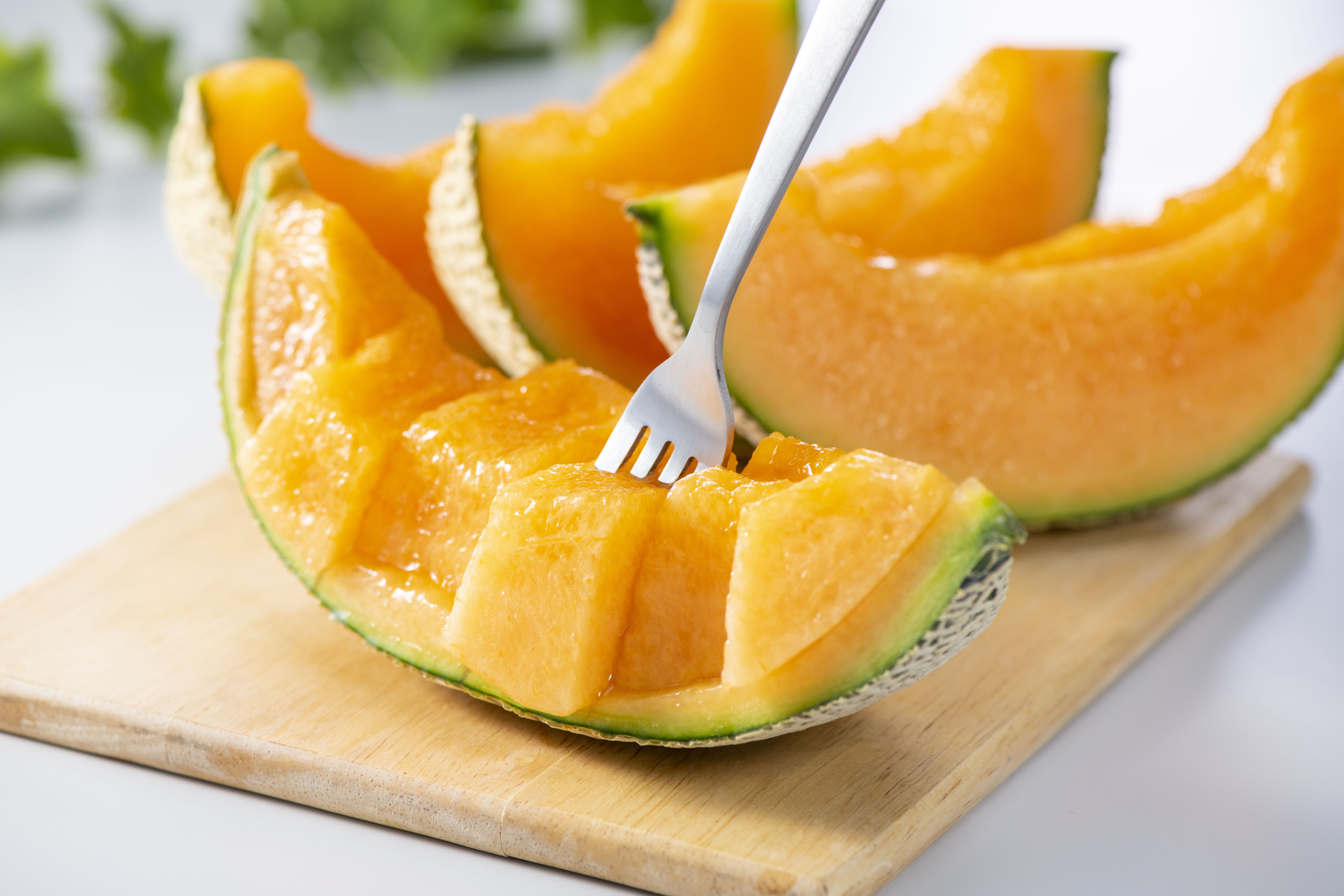 メロン 富良野メロン(1.6kg) | トキメキ直送便