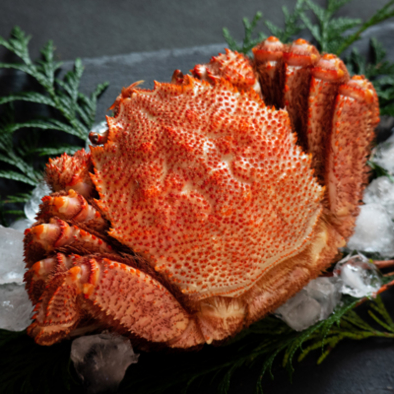 ②北海道三大かに食べ比べセット