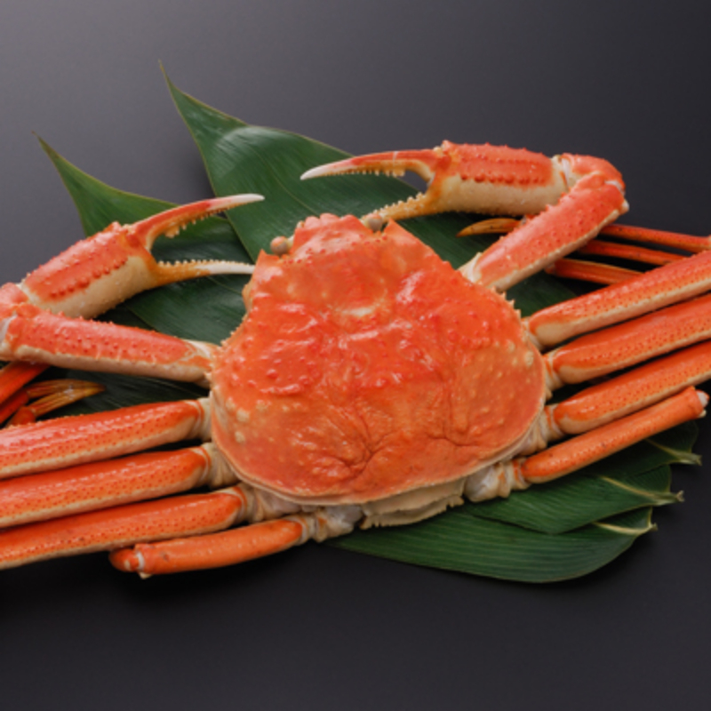 ②北海道三大かに食べ比べセット