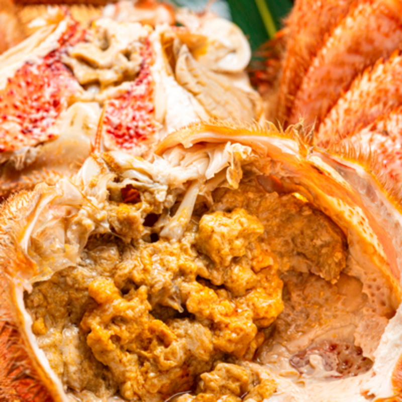 ⑤メガ盛り！毛ガニ400ｇ×2匹